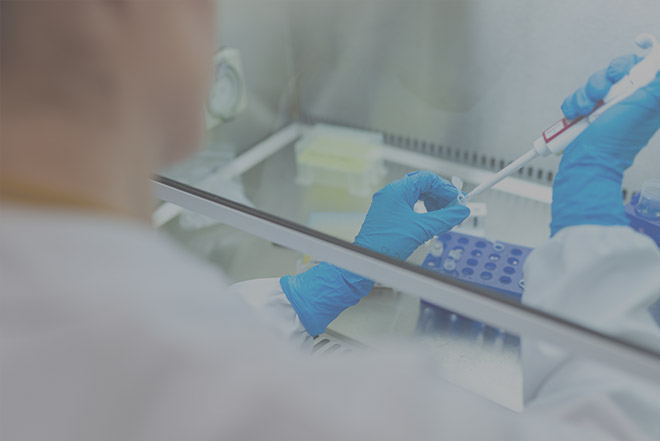 Effizientes Projektmanagement mit InLoox in der Pharma-Industrie