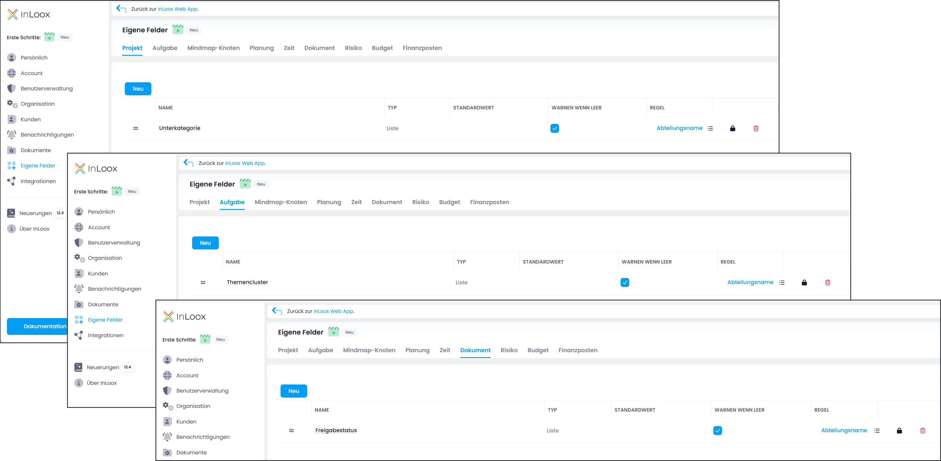 InLoox Eigene Felder für Marketing Projekte