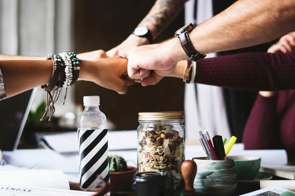 Das Projektteam: Rollenmodel nach Belbin