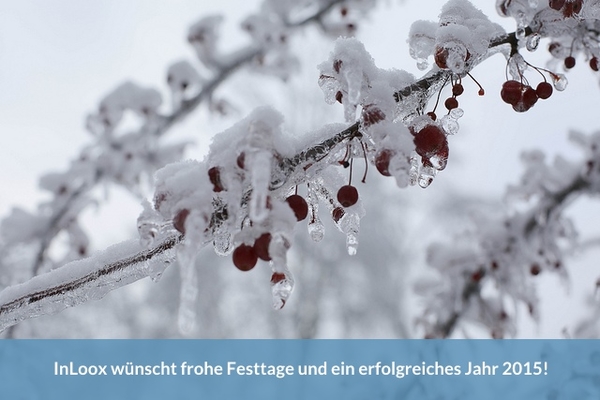 Frohe Feiertage 2014!
