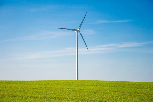 Green Project Management: How to Run More Sustainable Projects
