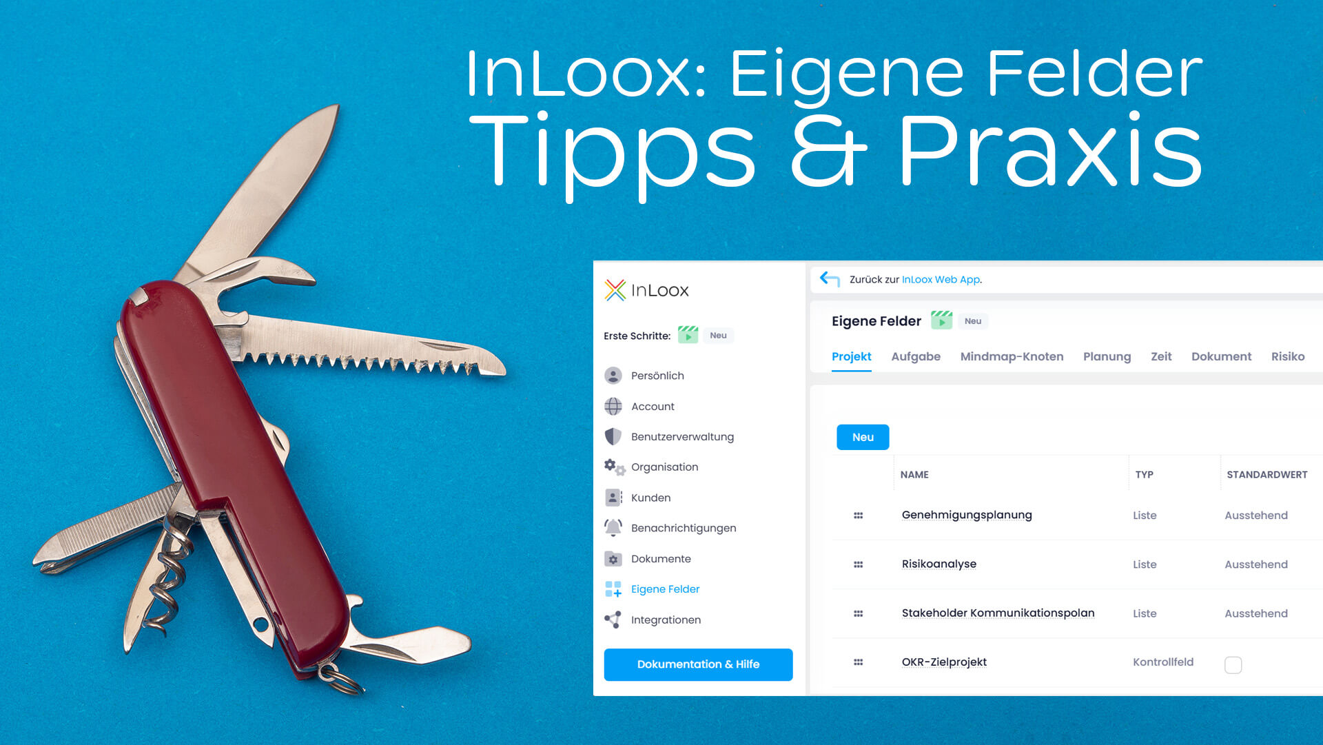 InLoox Eigene Felder - Das Schweizer Messer im Projektmanagement