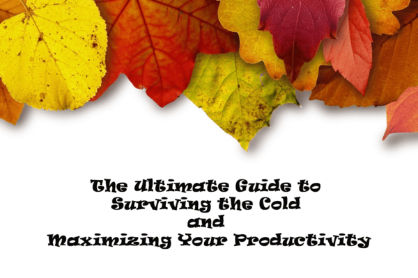The Ultimate Guide to Surviving the Cold and Maximizing Your Productivity