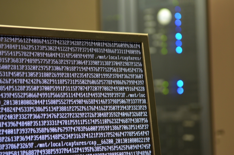 IT-Projektmanagement