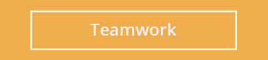 Zitate rund ums Projektmanagement: Teamwork