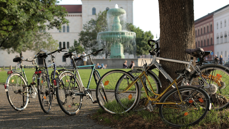 PMCampMuc-Stimmung-LMU