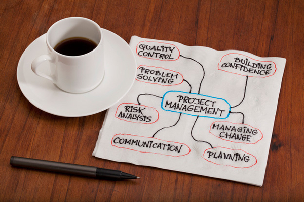 Project management