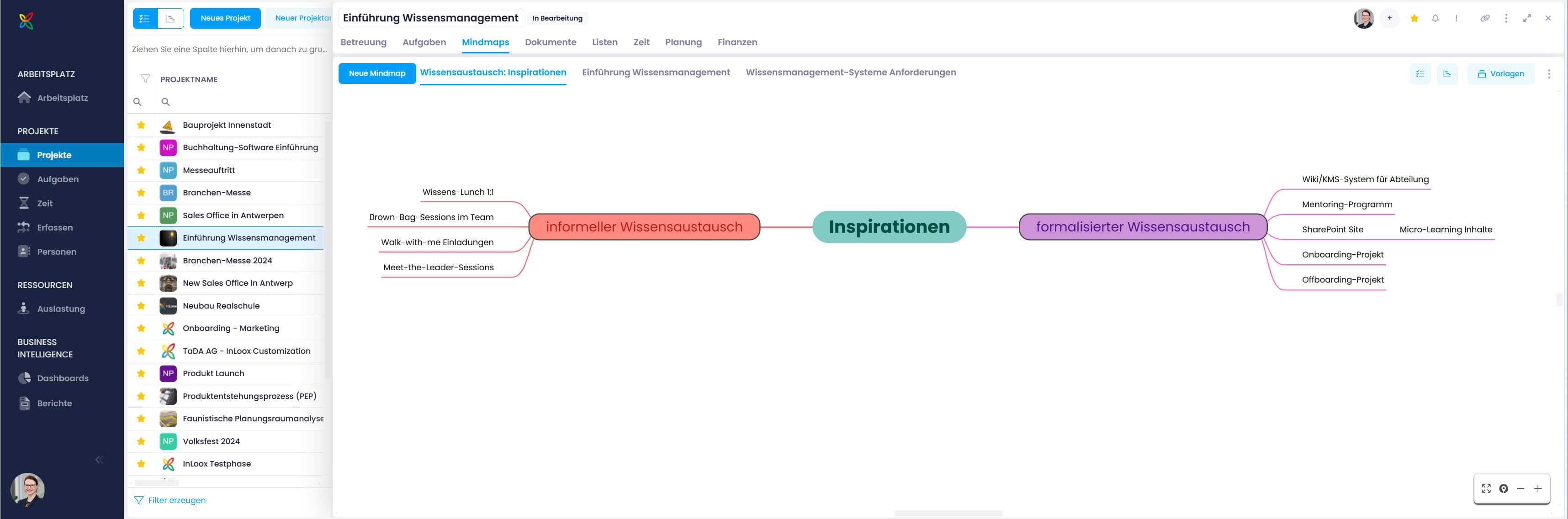 InLoox für Wissensmanagement: Mindmap zum Festhalten von Ideen