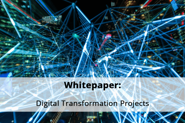 Whitepaper Digital Transformation Projects