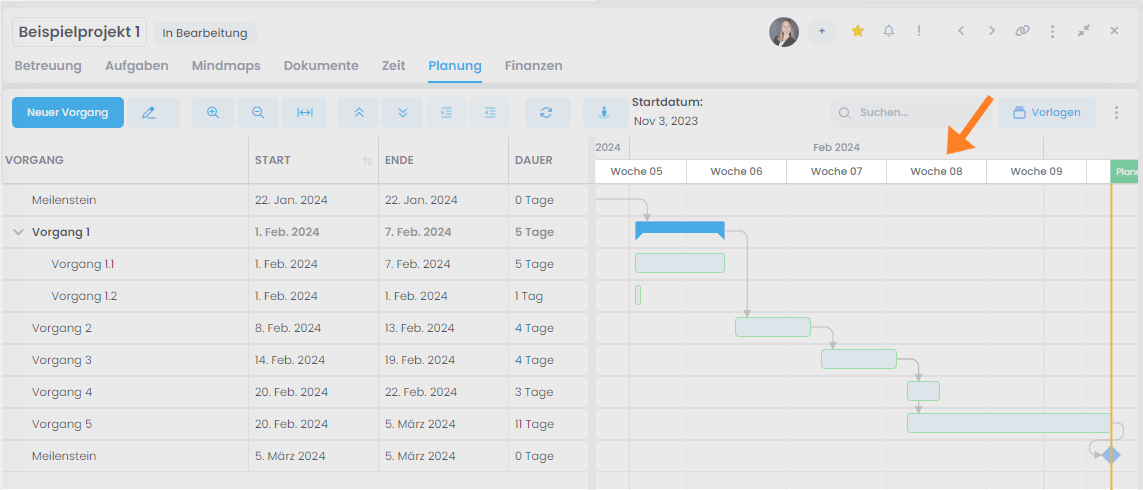 Anzeige der Kalenderwochen in Gantt-Planung