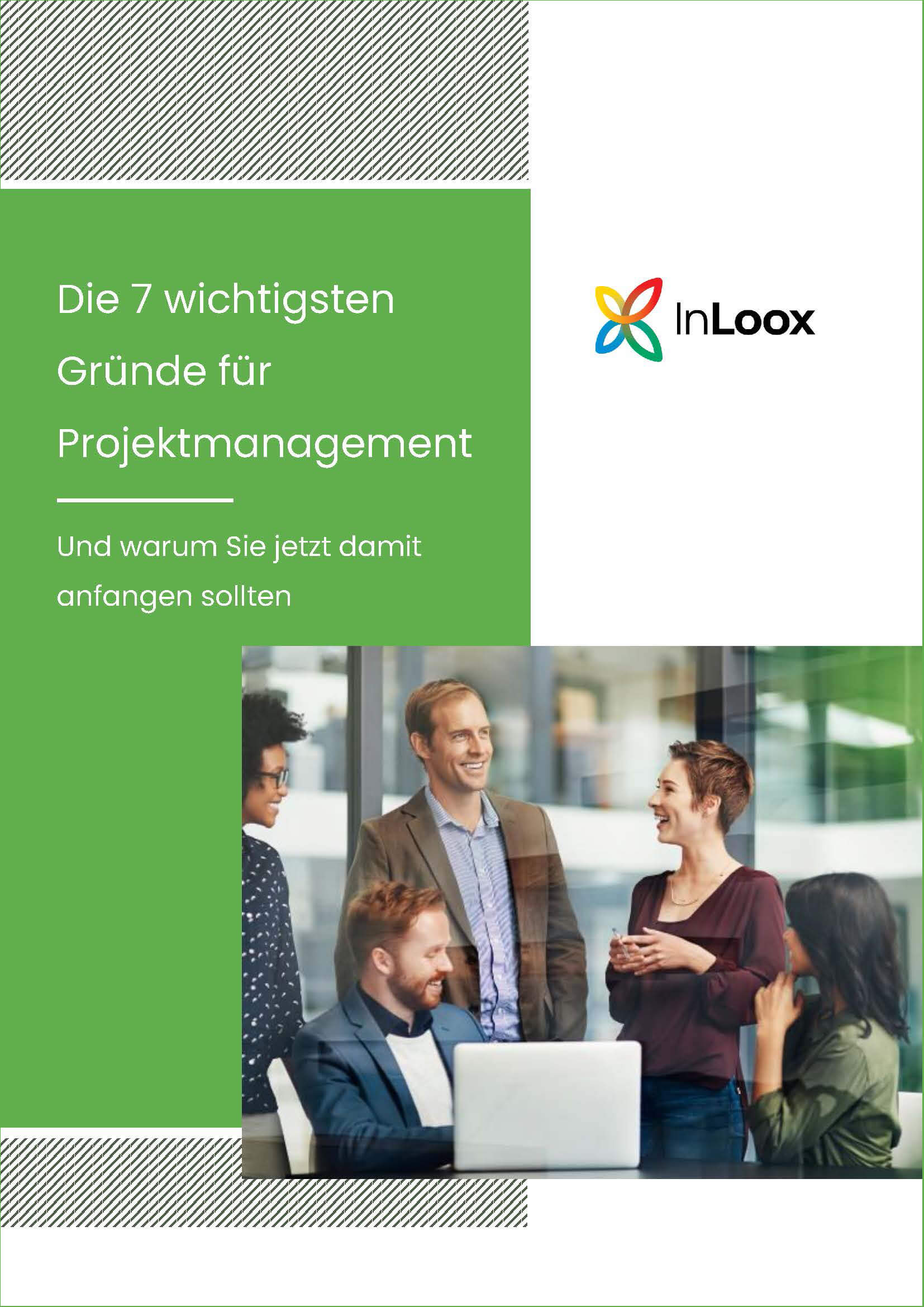 Die 7 Gründe für professionelles Projektmanagement - Whitepaper