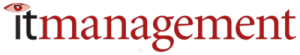 Logo: IT-Management