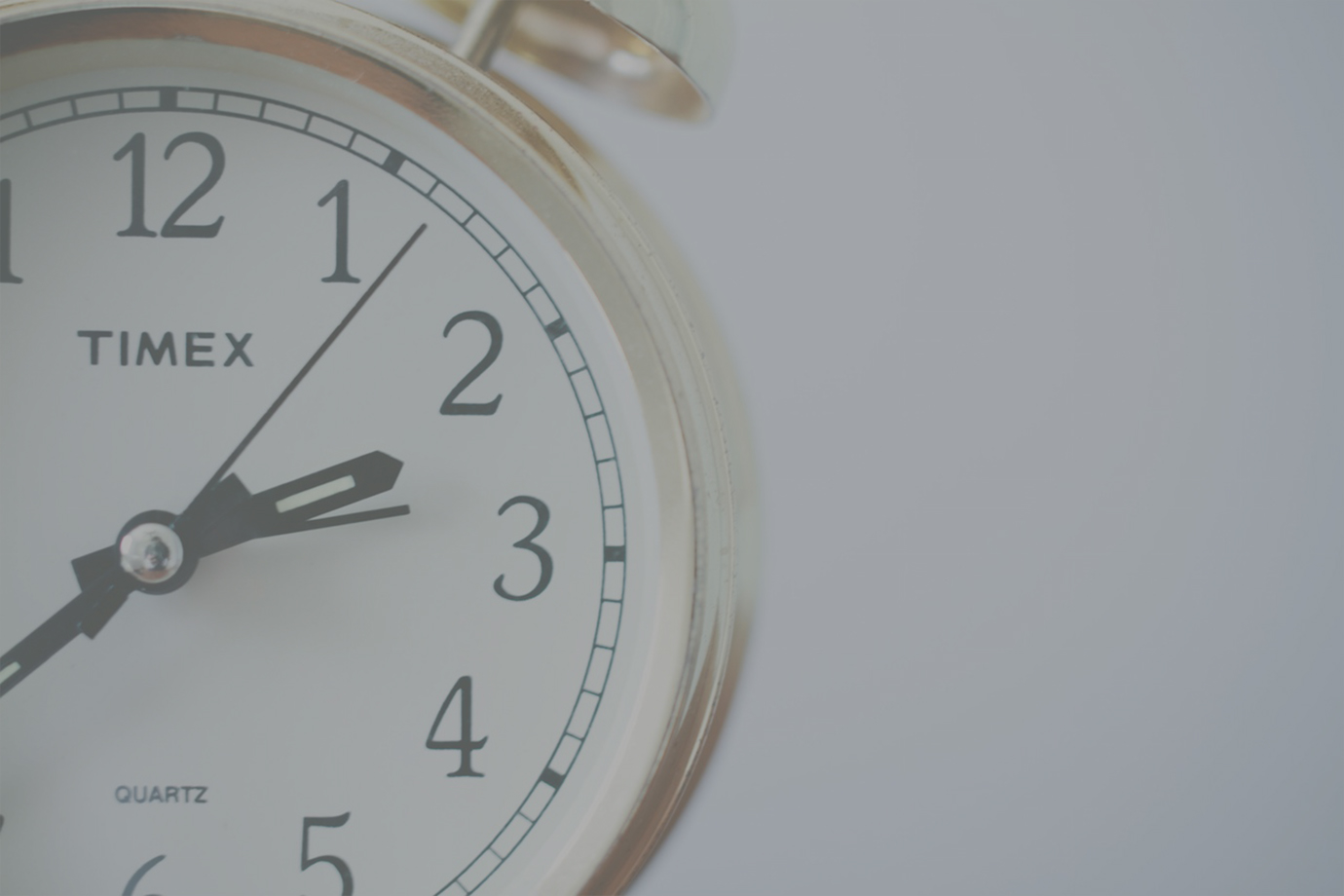Whitepaper: Termintreue in Projekten